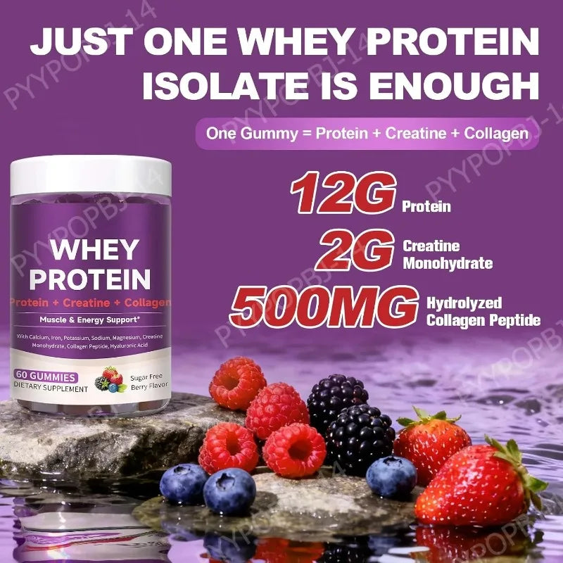 Protein Gummies with Whey Creatine Collagen 12g Protein Muscle Support Energy Nutrition Sugar Free Fitness Supplement 60 Gummies