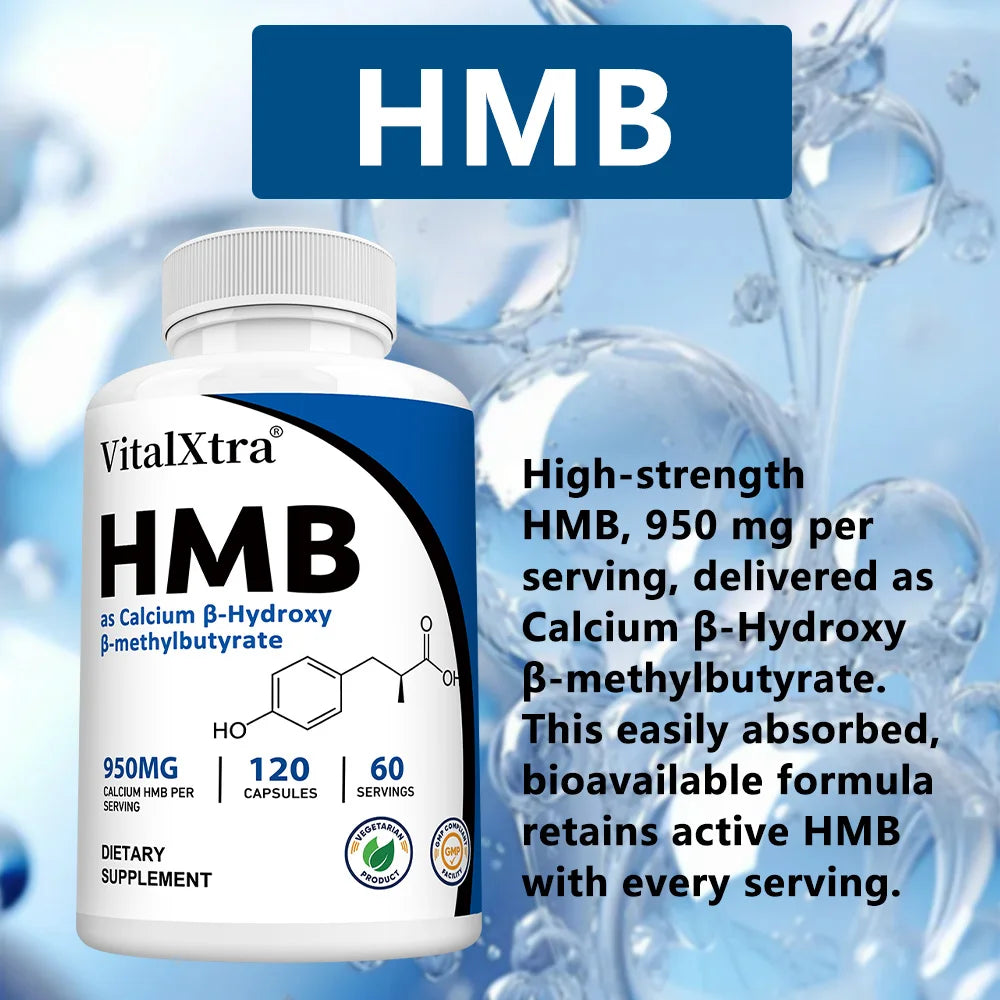 Highly Absorbable HMB Supplement – Supports Muscle and Movement, Enhances Strength, and Reduces Skeletal Muscle Damage