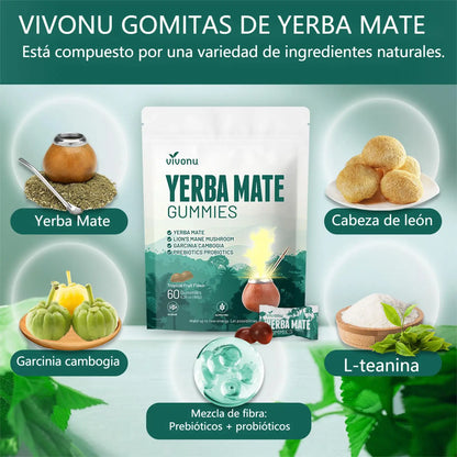 VIVONU Yerba Mate Gummies 4in1 Formula Lion&