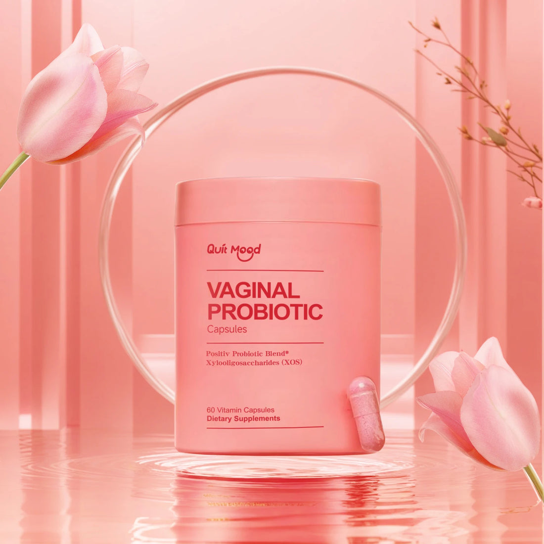Quit mood Probiotics for Women PH Balance with Probiotics and Lactobacillus Probiotic Blend - Women&