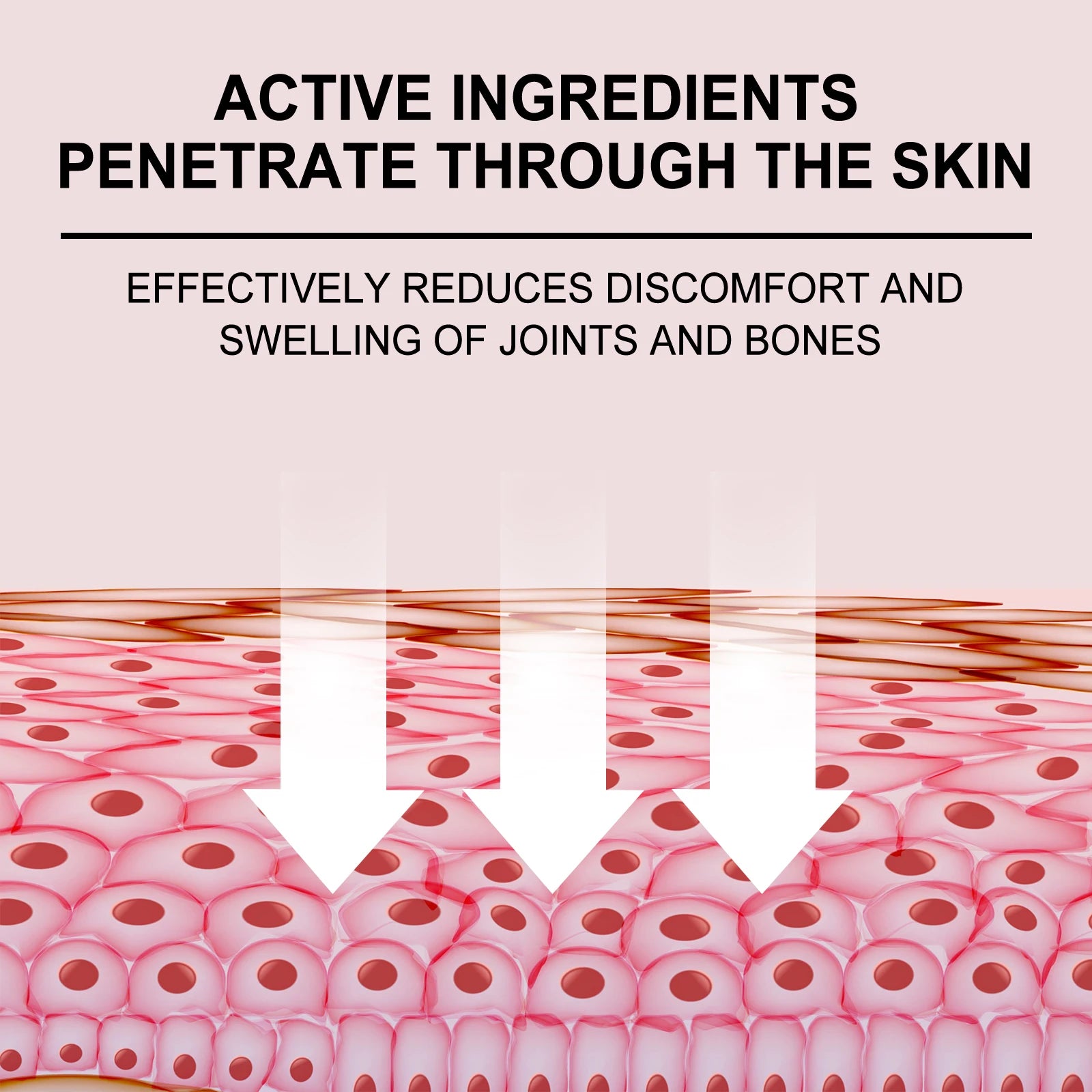 Bee Venom Joint Care Cream Relieves Lower Back, Knee, Tendon, and Bone Pain, Muscle Soreness, Joint Care Cream