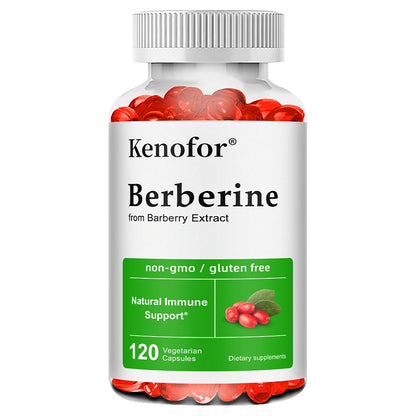 Premium Berberine Supplement Capsules - Supports Immune System Healthy Food Antioxidant,NON-GMO