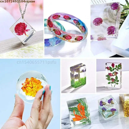 Premium Pure Natural Plant Powder : Butterfly Pea Rose Roselle Powder Pine Pollen Ginkgo Leaf Powder 500g