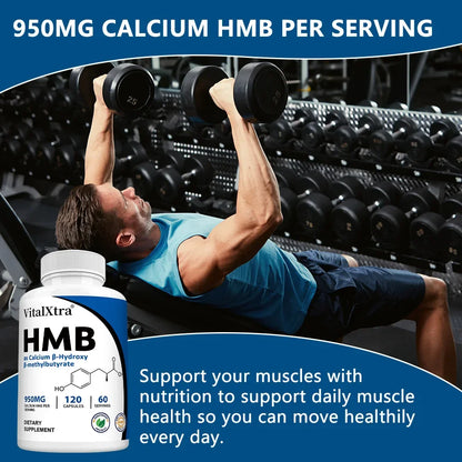Highly Absorbable HMB Supplement – Supports Muscle and Movement, Enhances Strength, and Reduces Skeletal Muscle Damage