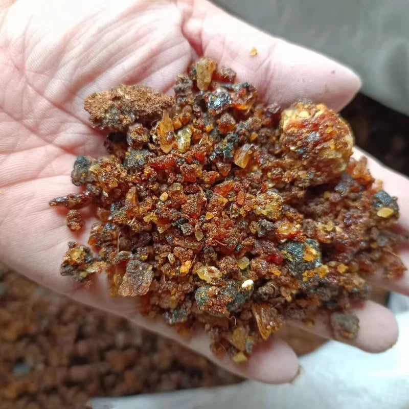 100% Pure Natural High-Quality Myrrh Resin Powder (Sacred Commiphora Myrrha) | Wicca-Infused Incense for Meditation, Therapeutic