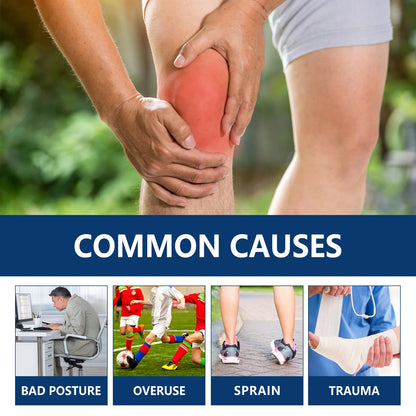 Bee Venom Joint Care Cream Relieves Lower Back, Knee, Tendon, and Bone Pain, Muscle Soreness, Joint Care Cream