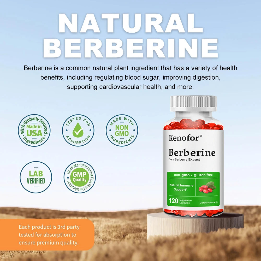 Premium Berberine Supplement Capsules - Supports Immune System Healthy Food Antioxidant,NON-GMO