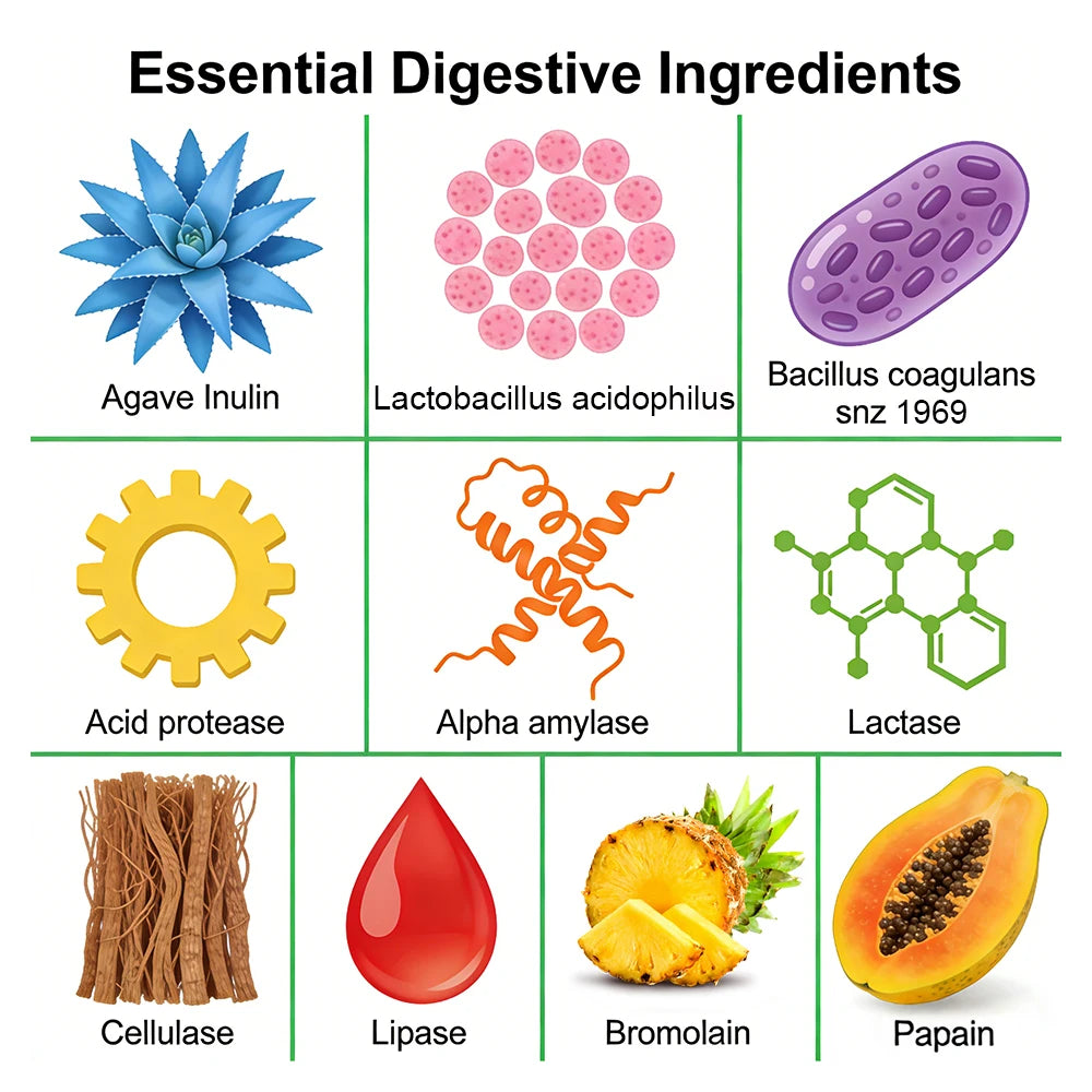 Digestive Enzymes for Bloating &amp; Digestion-with Organic Prebiotics &amp; Probiotics for Gut &amp; Digestive Health, Non-GMO, Gluten Free