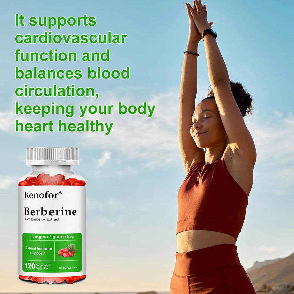 Premium Berberine Supplement Capsules - Supports Immune System Healthy Food Antioxidant,NON-GMO