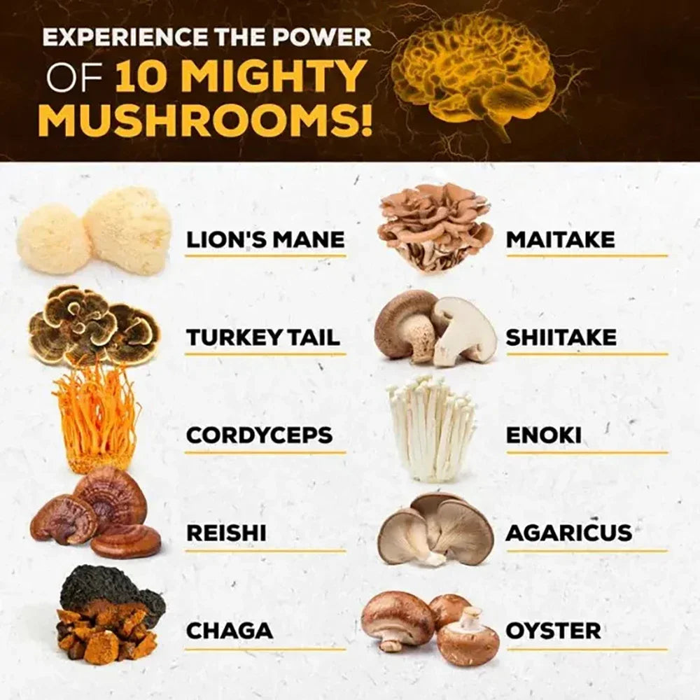 Didacat 10x Mushroom Complex Capsules with Lions Mane, Chaga Nootropic Brain Supplement for Memory and Immunity