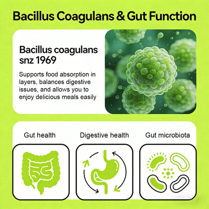 Digestive Enzymes for Bloating &amp; Digestion-with Organic Prebiotics &amp; Probiotics for Gut &amp; Digestive Health, Non-GMO, Gluten Free