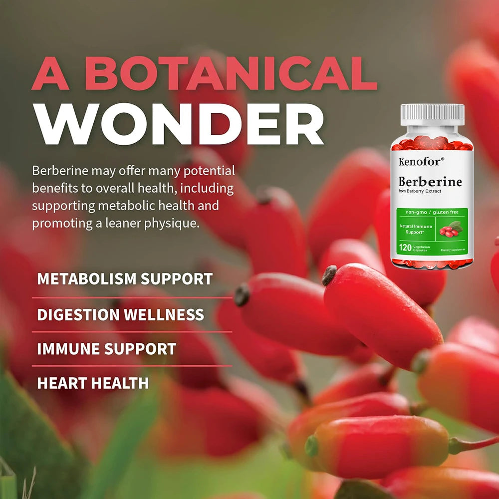 Premium Berberine Supplement Capsules - Supports Immune System Healthy Food Antioxidant,NON-GMO